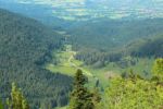 2014-07-05_Laengental-N-Hochweg (627). JPG